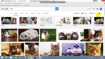 How to Find Different format Free commercial use Images on Google Images