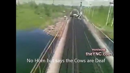 Cow Tipping Videos (Equals 2 with Cowboy Boom)