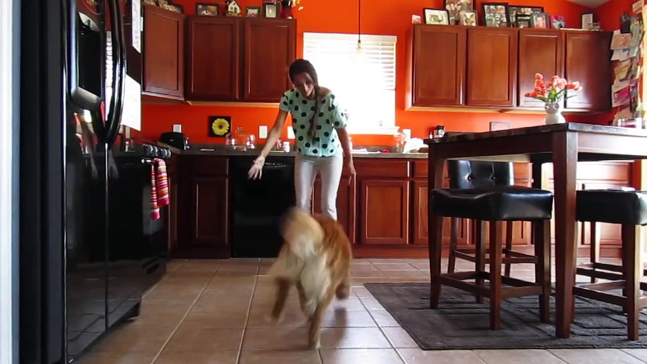 Trying to get pregnant July 17, 2014 Vlog