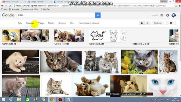 ¿Cómo encontrar diferentes formatos de uso libres de regalías comerciales en Google Imágenes