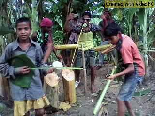 new bangla fun (নতুন পাগলামি দেখুন)