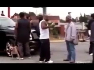 Türk Genci Her Yerde Kendini Belli Ediyor