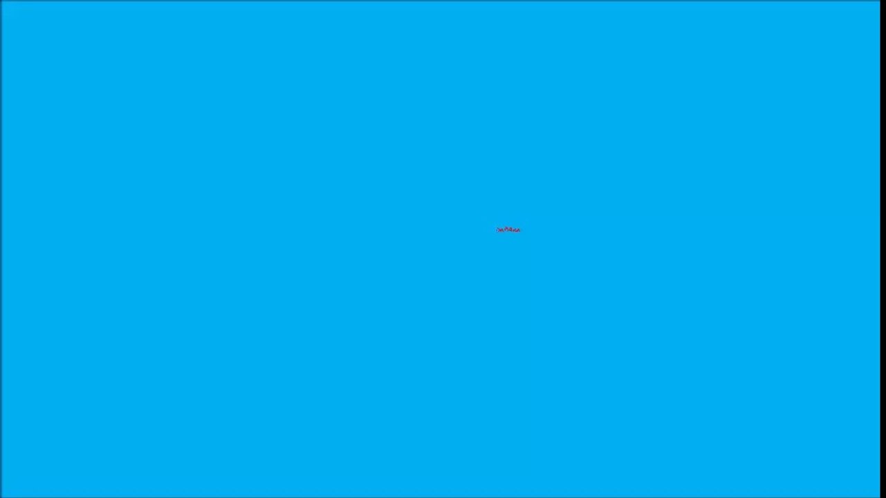 les ânes miniatures de Bel'Ane