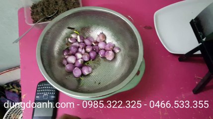 Máy thái hành tỏi thái sung Dũng Doanh