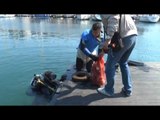 Napoli - I fondali marini del Molosiglio liberati dai rifiuti (07.05.16)