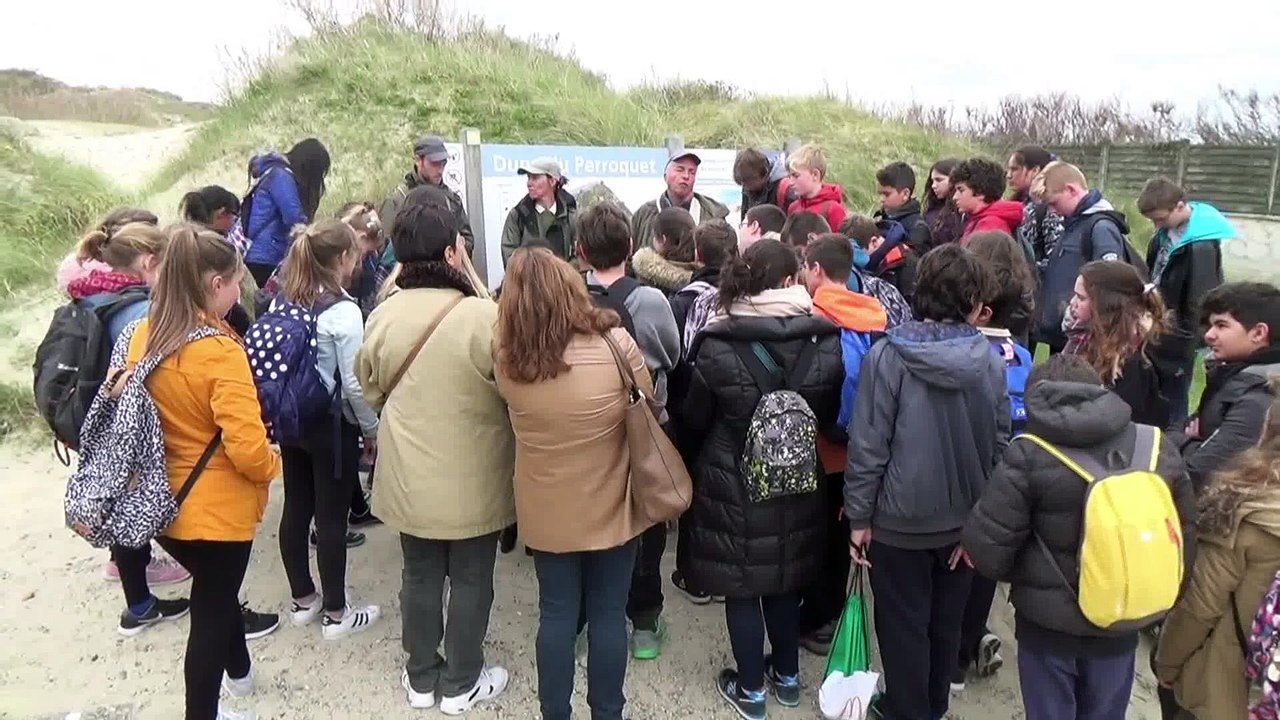 L'espace dunaire