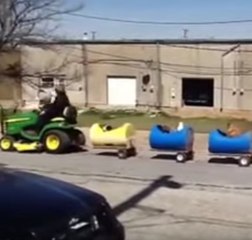 All aboard the dog train!