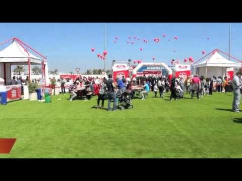 Ripresi dalle telecamere mentre rubavano una bicicletta, Tg 7 Maggio 2016