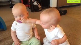 Twin babies cute fight for Pacifier