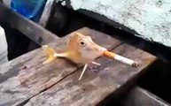 Fish Smokes a Cigarette