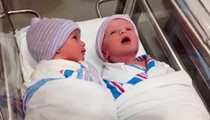 Newborn (one-hour-old) twins have first _conversation_