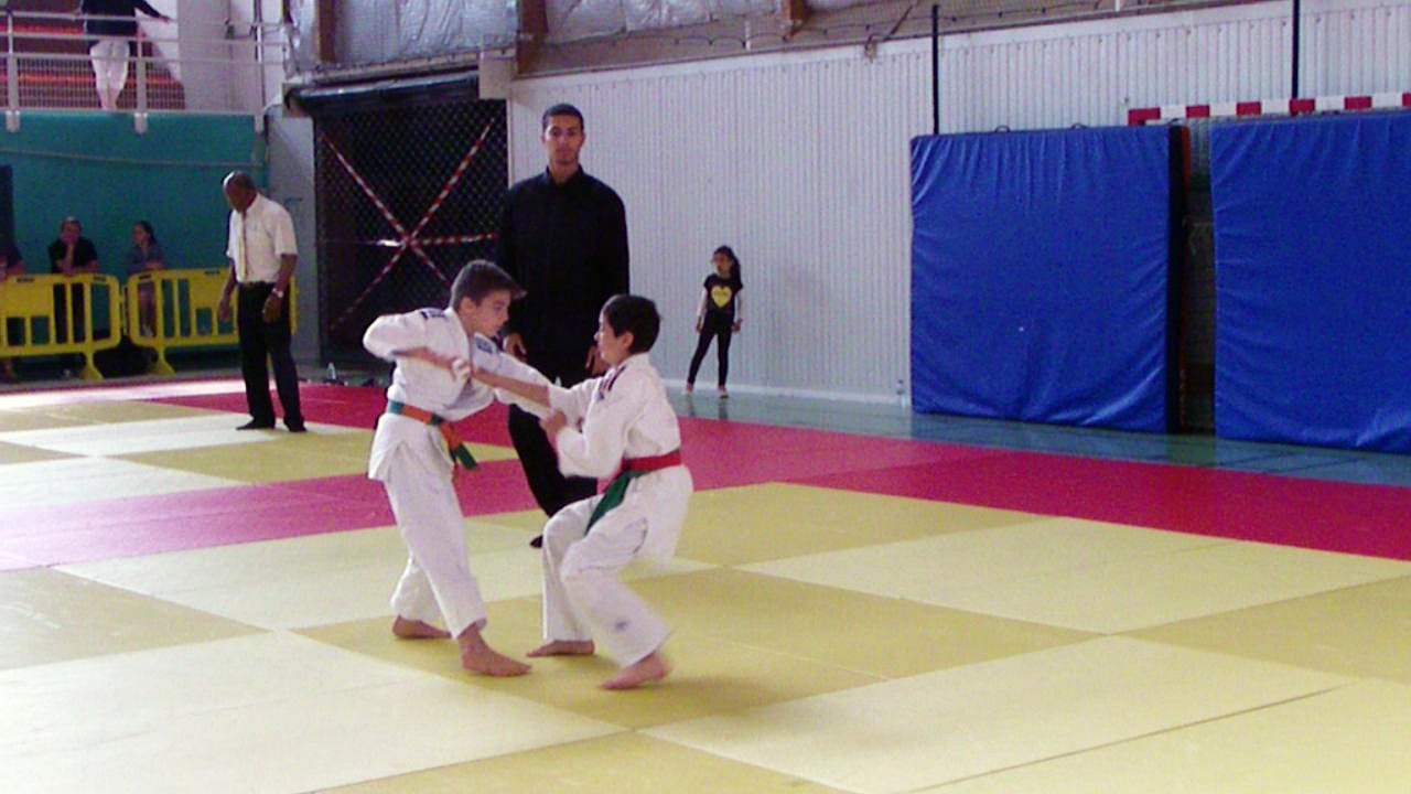 Ewan Goudey challenge Briard de Brie Comte Robert