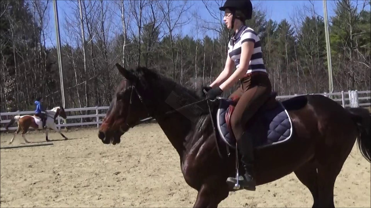 Laurie - Équitation - 2016-04-30. Encore une autre version !