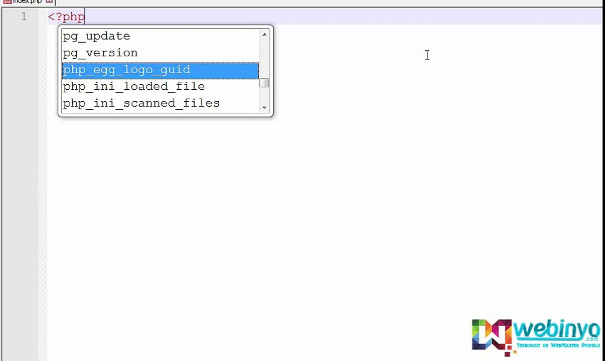 PHP readfile() Fonksiyonu Kullanımı – PHP ile Dosya İçerisindeki Veriyi Okuma