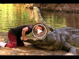 Extreme Animal Attacks Compilation!