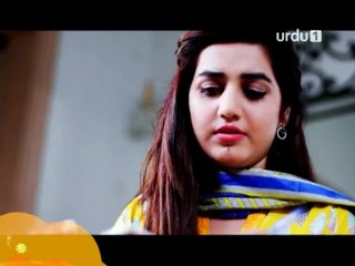 Dil Teray Naam Episode 19 Promo