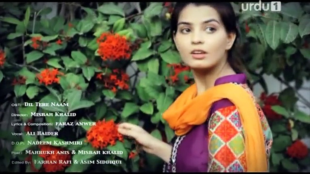 Dil Tere Naam Full OST URDU 1 Drama