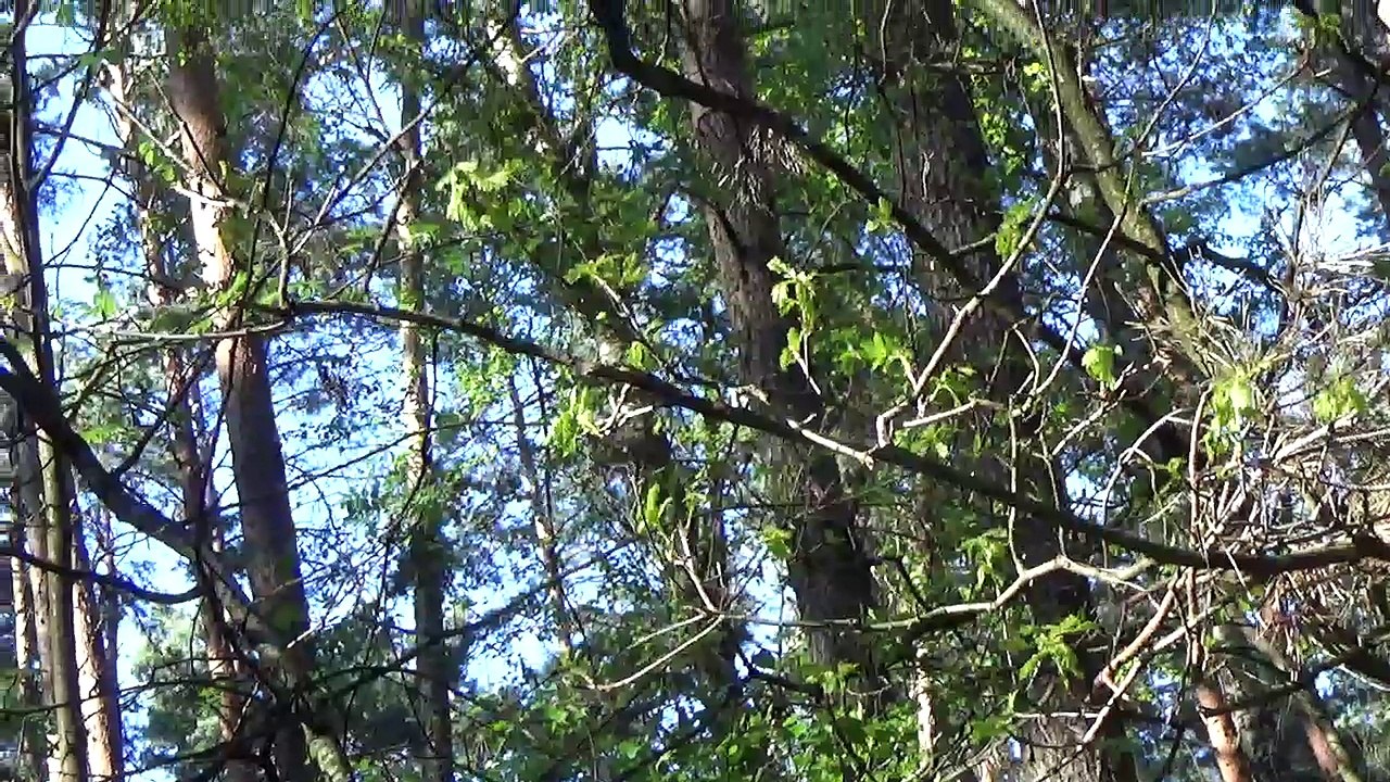 Von Nürnberg Richtung Ansbach - Teil 2