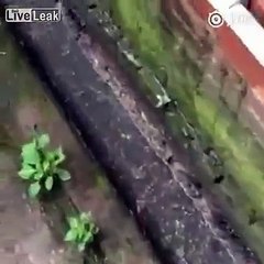 LiveLeak - Dish washing room in restaurant