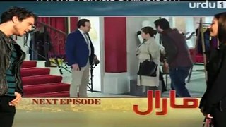 Maral Episode 81 in HD Promo