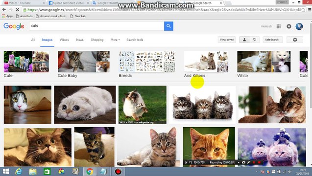 How to can search free commercial use images with different colors on Google Images