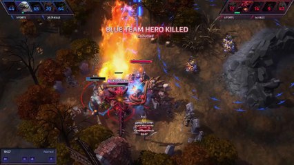 Heroes of The Storm WTF Moments Ep.20