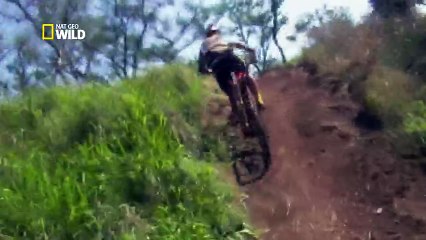 Les zarbis , Mauvaises rencontres