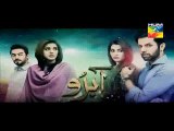 Abro -Episode 22 -Promo Hum TV Drama -07 May 2016