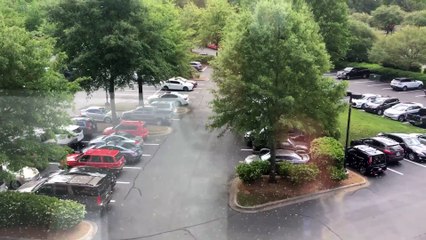 De la pluie ? Non, une tempête d'abeilles !