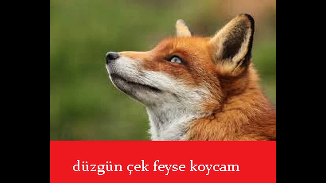 hande yener acisi cikiyor