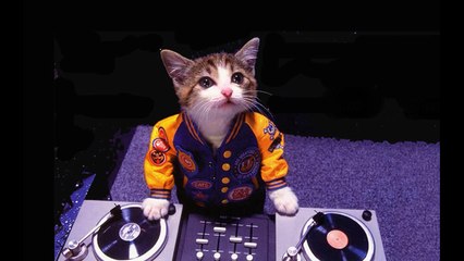 dj-seni gidi yaramaz