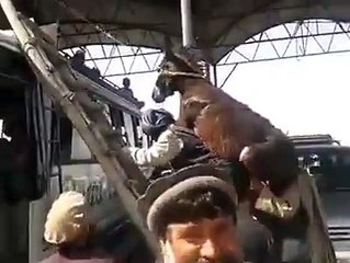 پٹھان بھائی کی کیا بات ہے ۔۔ ناقابل یقین