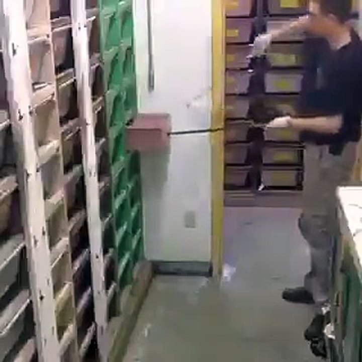 کیا آپ ایسی ڈیوٹی کرنا پسند کریں گے ؟