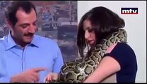 Dangerous Python VS Girl- Funny Whatsapp Video | WhatsApp Video Funny | Funny Fails | Viral Video