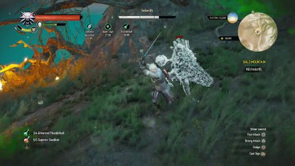 WITCHER 3 DEATH MARCH! WALKTHROUGH 242 - IMERLITH BOSS