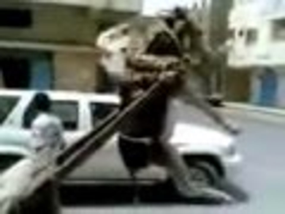 حمار طايرهههههههه