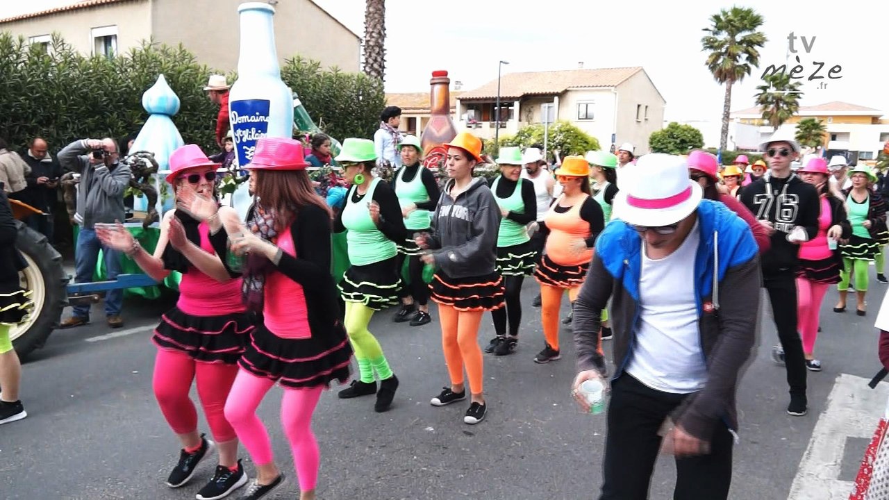 Corso fleuri de Mèze 2016 - Le groupe "ID Fiesta"