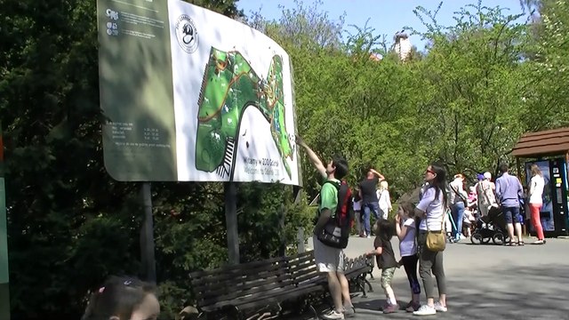 Karta Lwa dla gdańszczan w oliwskim zoo / StaraOliwa.pl
