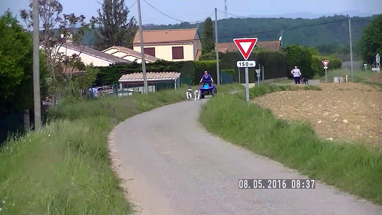 hamarok et Nanouk avec le kart1