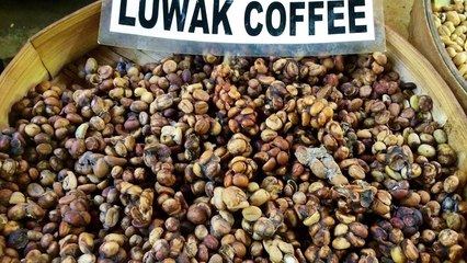 Hem İğrenç Hem De Pahalı 10 Şey