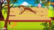 Pop Goes the Weasel  Nursery Rhymes  Children Songs by Hooplakidz