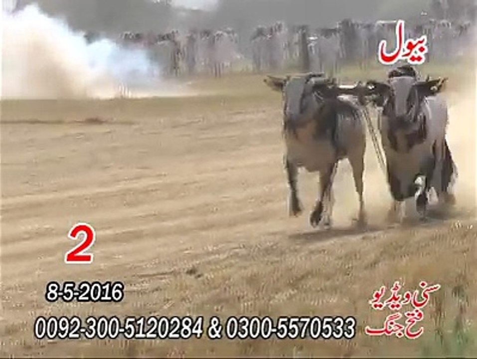 T.A.M.A.S.H.A 2nd Time at Bewal