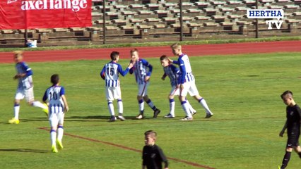 Highlights Hertha BSC - 1. FC Wilmersdorf (D-Junioren) Axel-Lange-Pokal - Berlin - 2016 #hahohe