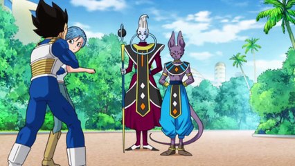 Dragon Ball anime crack