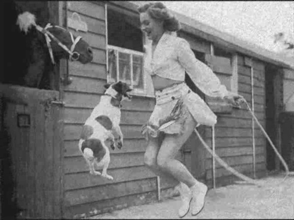 Bi-Musič - D3/ Buddy