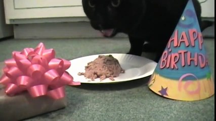 Talking Kitty Cat 9 - Sylvester s Birthday