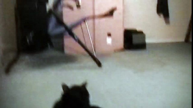 Talking Kitty Cat 3 - Kitty Bath