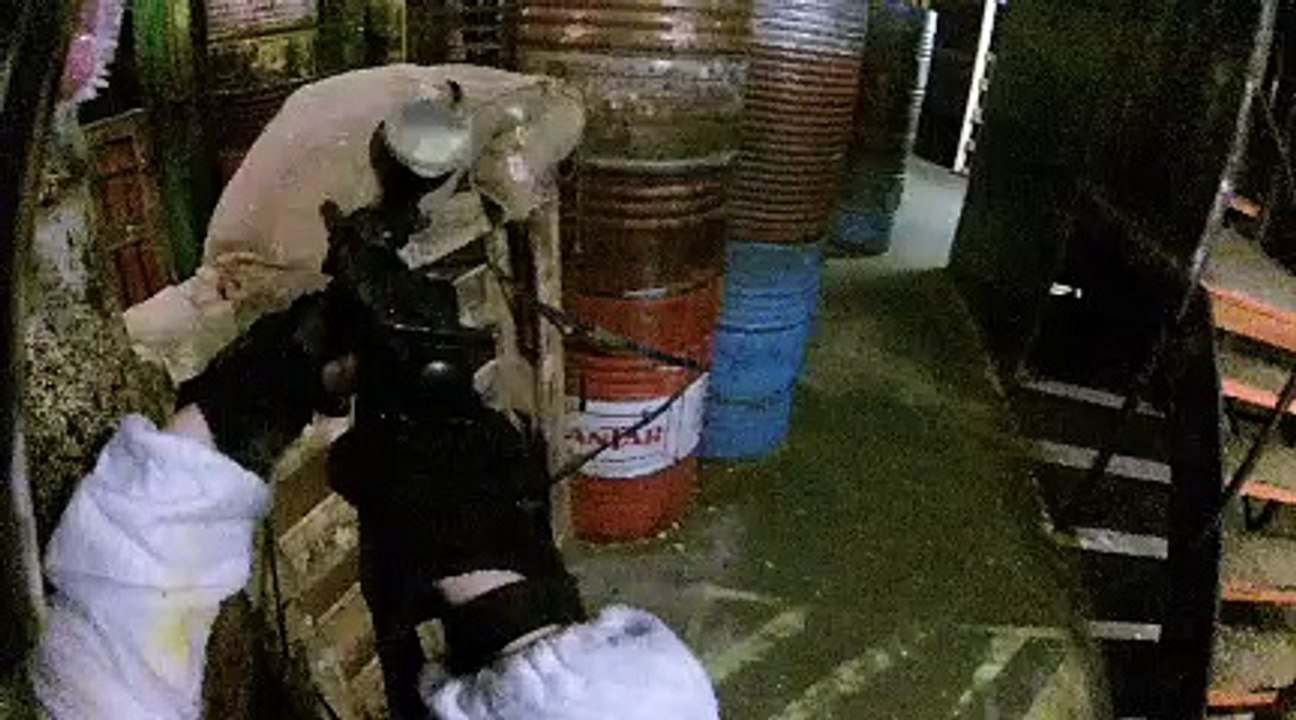Votre session de paintball B061090416URBA0002
