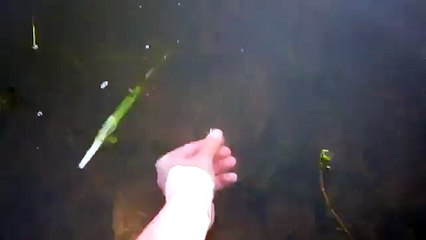 Рыбак 80-го уровня  (6 sec)