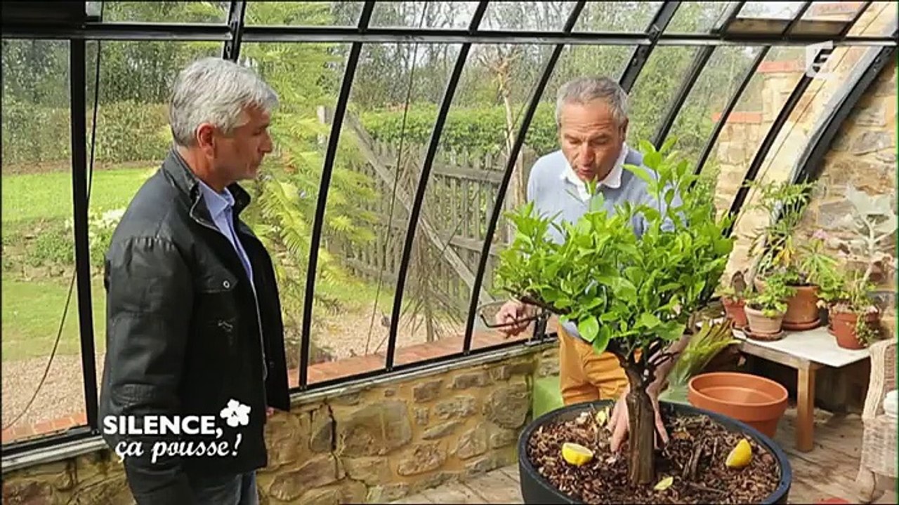 Silence, ça pousse ! 06.05.2016 VOSTF  - France 5